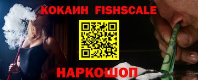 индика Можга
