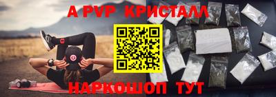 индика Можга