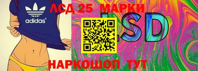 индика Можга