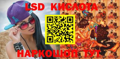 индика Можга