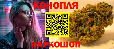 индика Можга