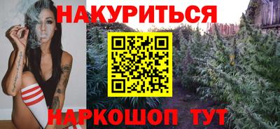 индика Можга