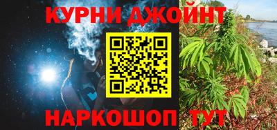 индика Можга