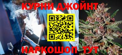 индика Можга