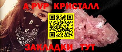 индика Можга